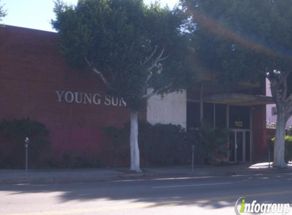 Young Sung U S A Inc
