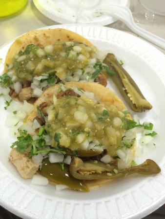 Tacos El Gavilan Inc